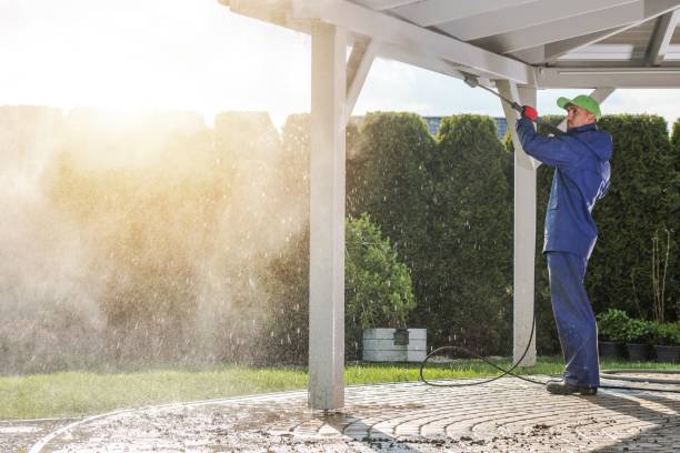 Best Gutter Cleaning  in Lake Stevens, WA